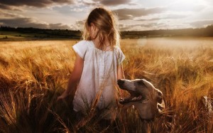 Little-Girl-with-Dog-Field-HD-Wallpaper